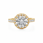 Rio de Janeiro Engagement Ring