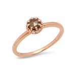 Princess Rose image 0